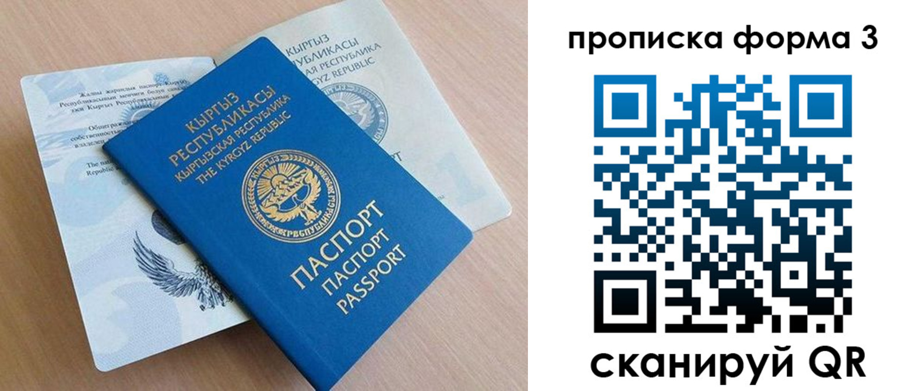 где прописаться в Каргополе